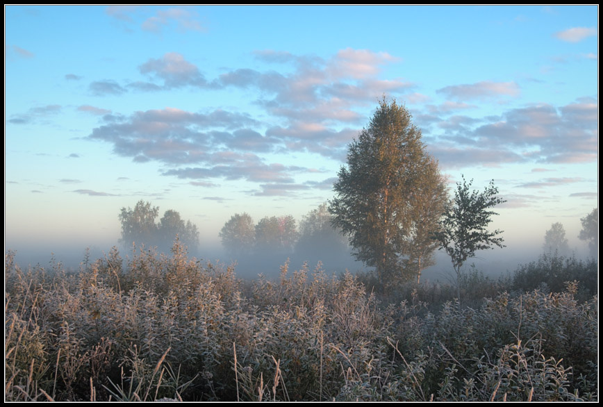 Иней... Siberia.