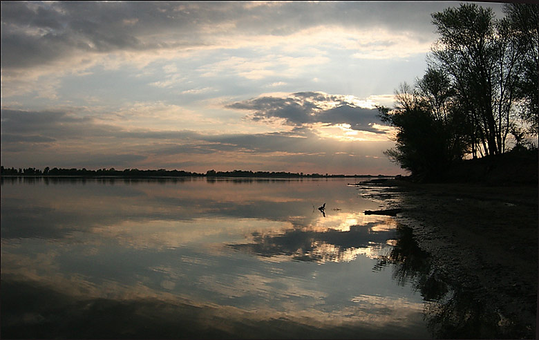 вечернее закат вода река отражение