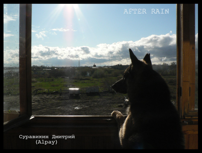 AFER RAIN (После дождя) Рекс небо балкон окно улица дождь