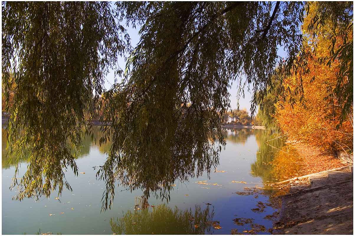 Пруд осенью Природа, пруд, осень