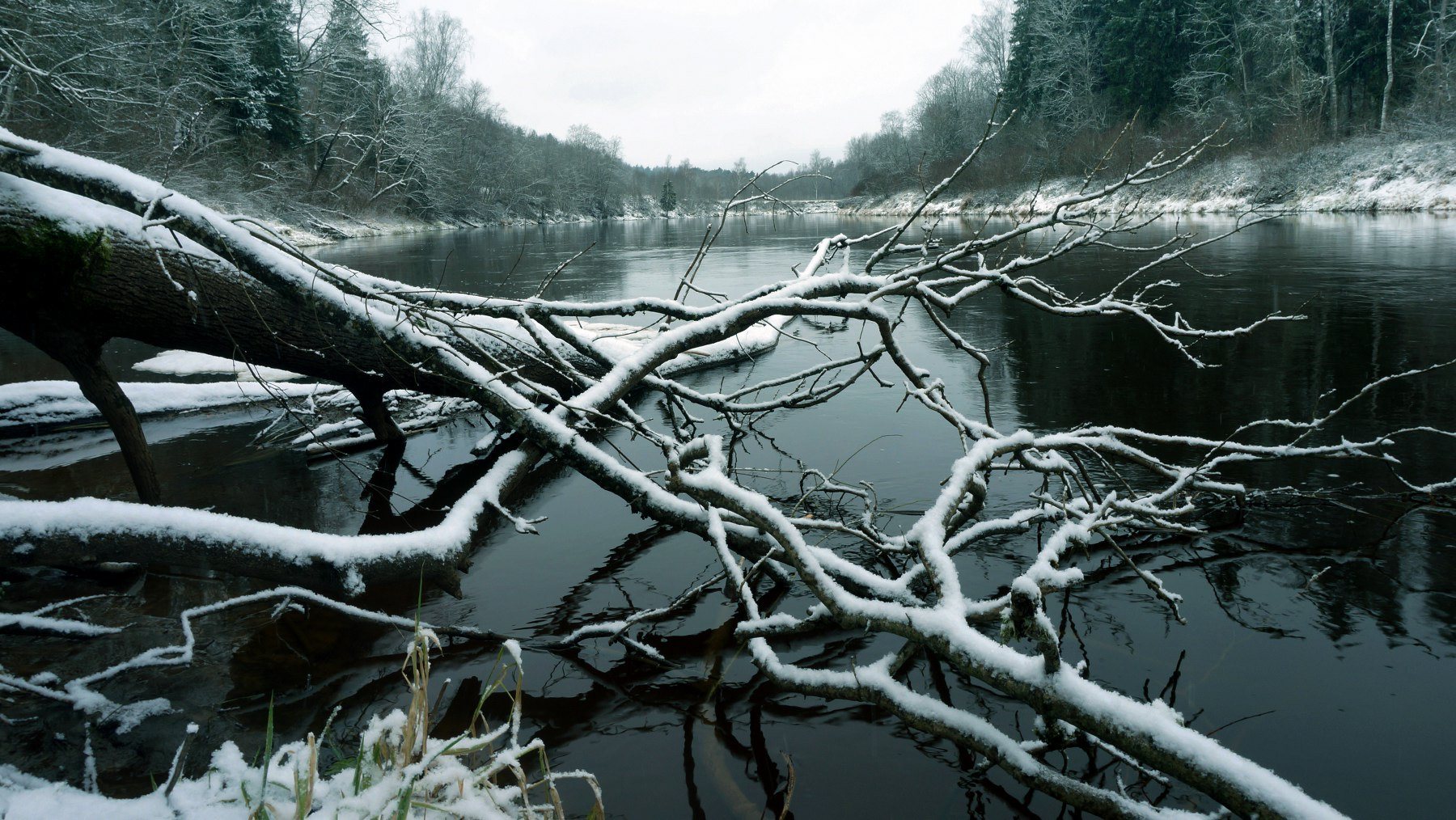 *** river Gauja Latvia 24.11.2025