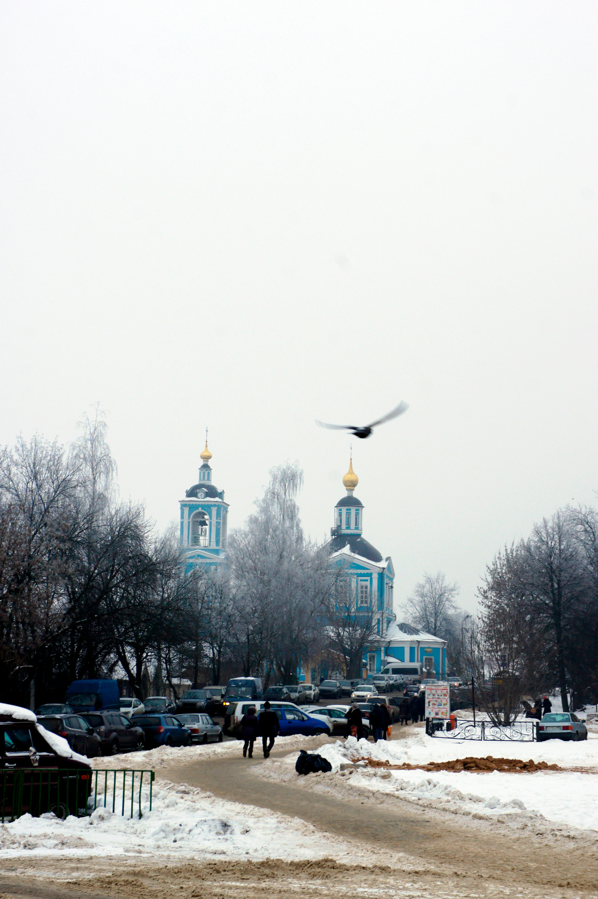 Сергиев Посад. Петропавловское подворье Свято-Троицкой Сергиевой Лавры.  08.02.2014 Сергиев Посад Город Храм