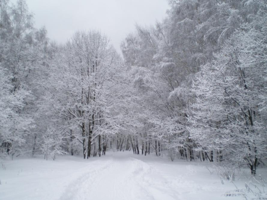 Memories from Happy Days Она, Парк, Мы, Вместе,Snow Path