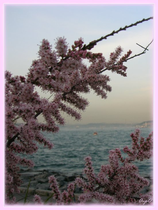 Весна... Когда за окном осень... sea море Istanbul Bogaz Turkey