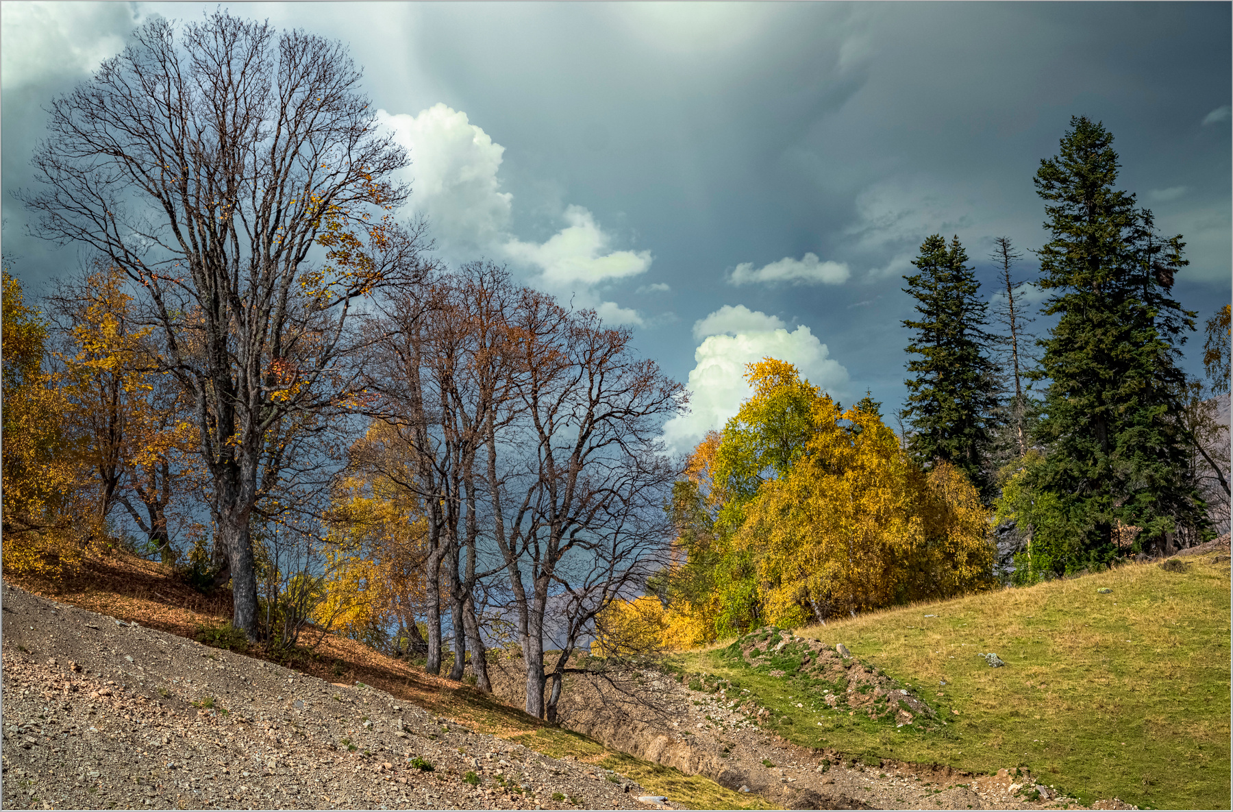 Осенняя пора природа