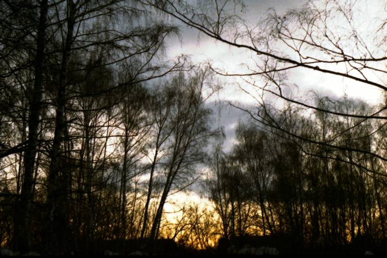 DeepForest 