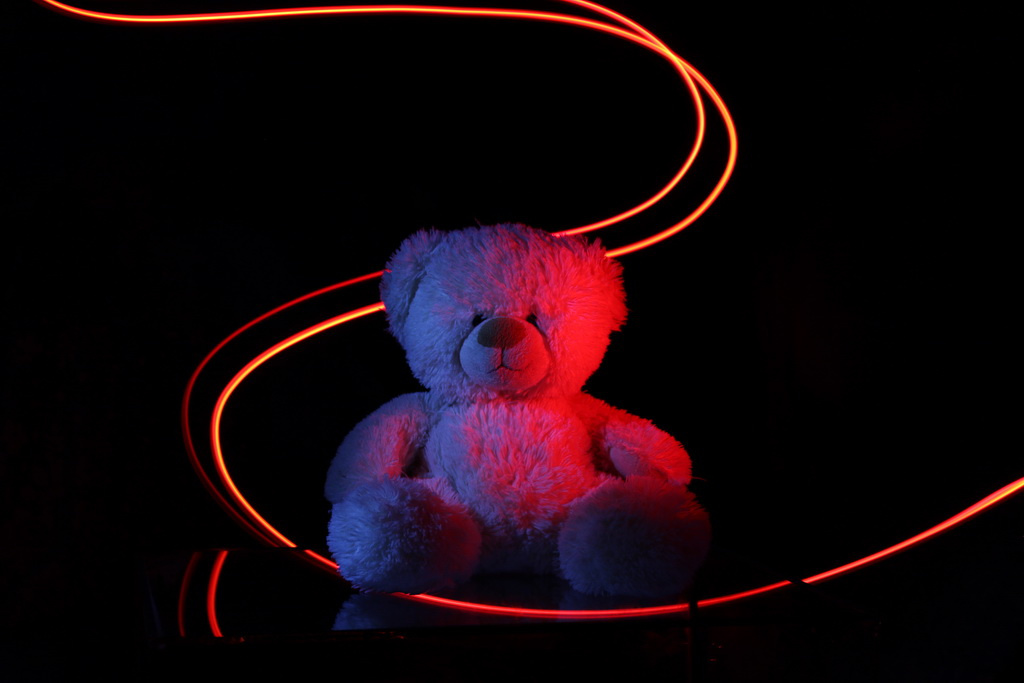 Teddy 