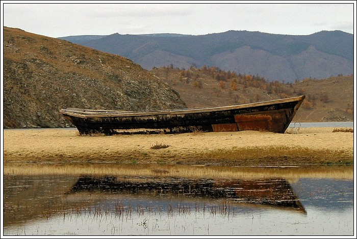 Корабль пустыни байда