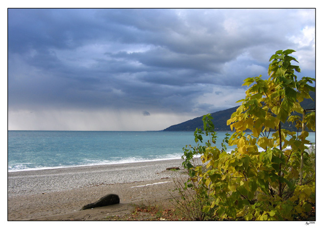 Краски поября море, осень, побережье
