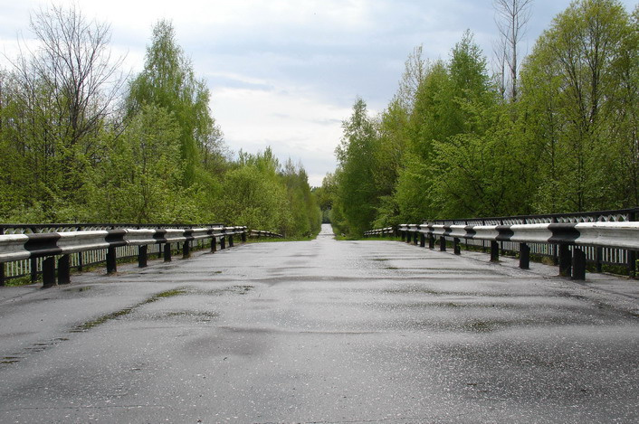 \"Недавно был дождь\". Пейзаж, дорога, Владимирская обл., Гороховец...