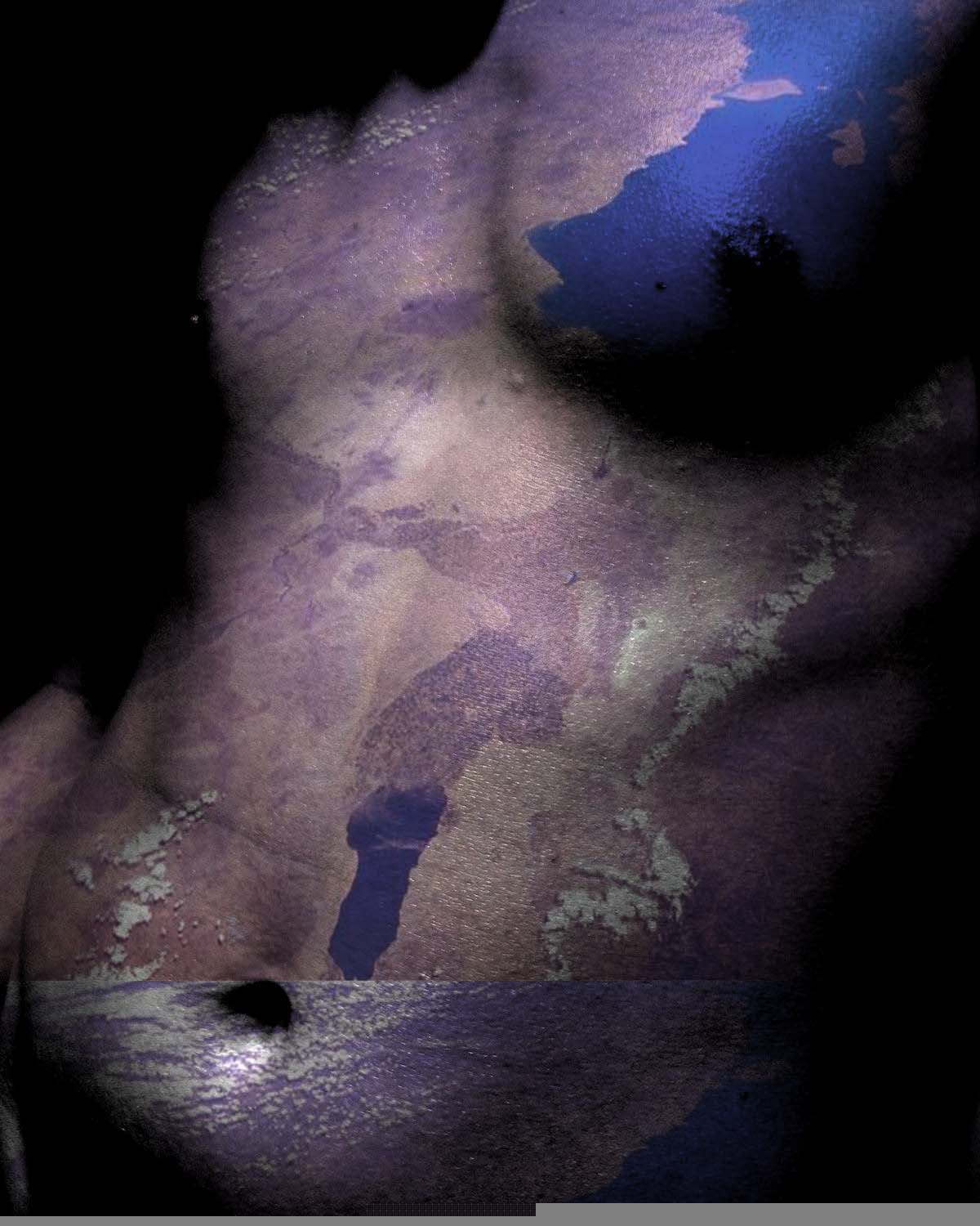 Bird Body 