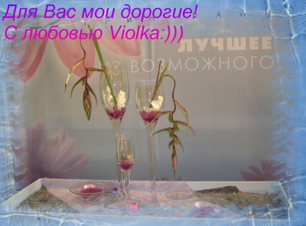 Выставка цветов Лучшее из возможного