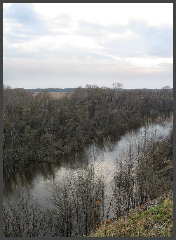 [XIV] вода река лес Сибирь Томск Маркелово Шегарка