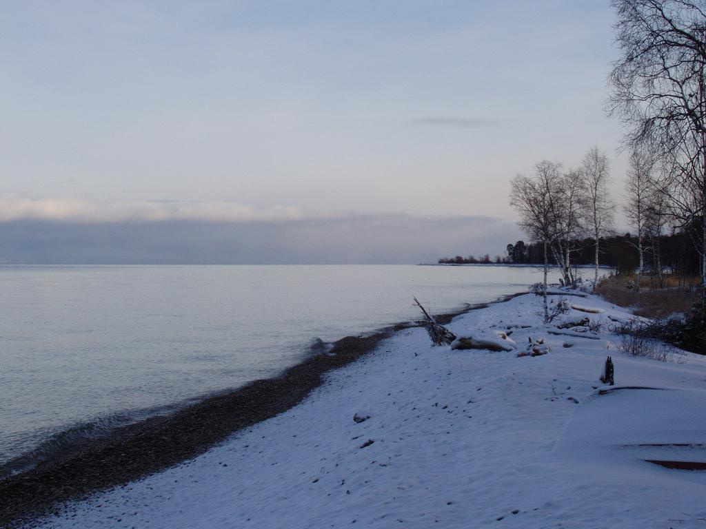 Осень 
