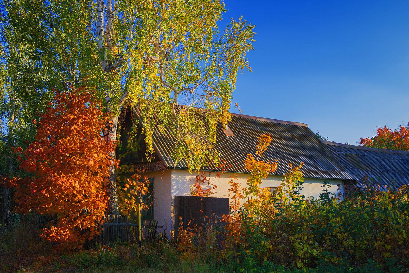 Ушедшая осень... осень провинция село