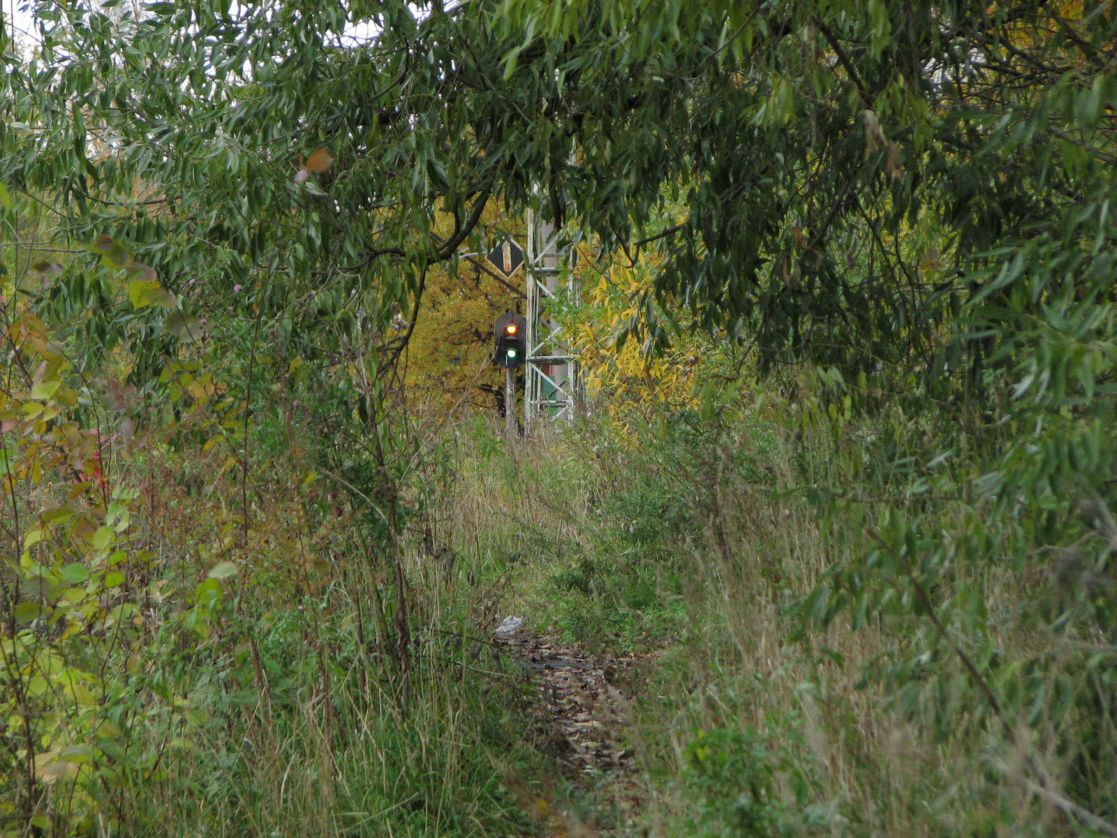 Осень Осень трава Петербург