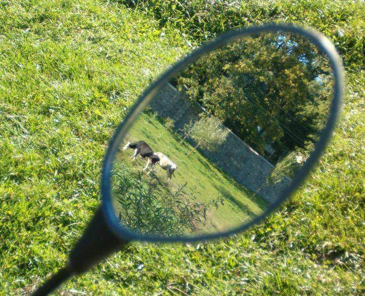 Игра отражений зеркало природа Южный Буг