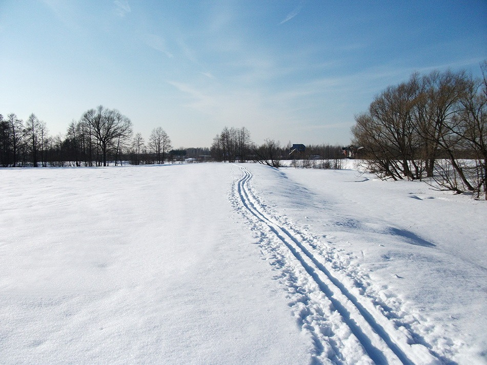 На лыжне Лыжня природа Россия красота
