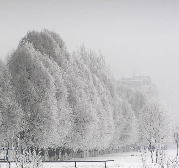Утро на Левобережном 