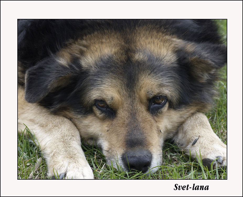 Жизнь прожить - не поле перейти 