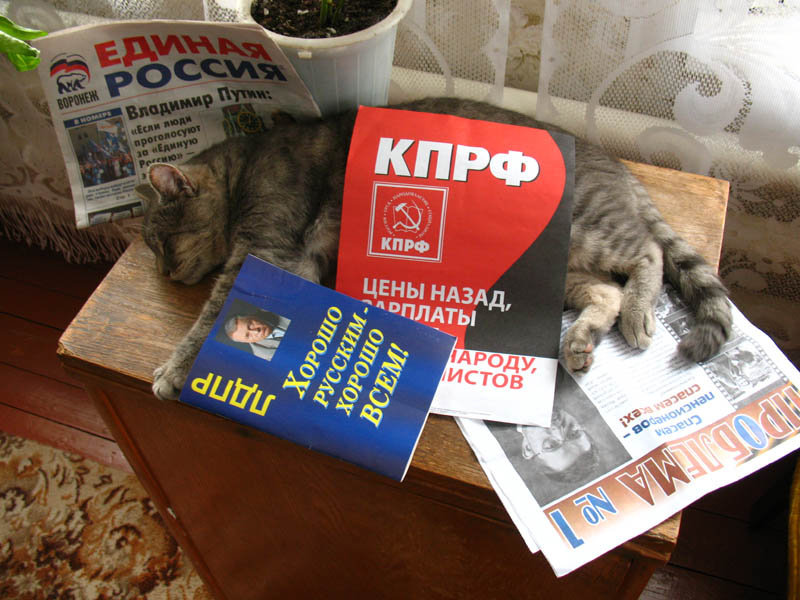 Трудность выбора 