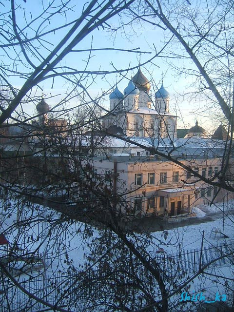 Геометрия веток купола