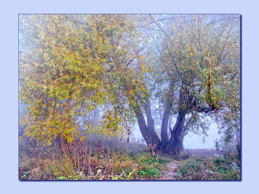 Мотивы. Вертинский. В сиреневом тумане. туман