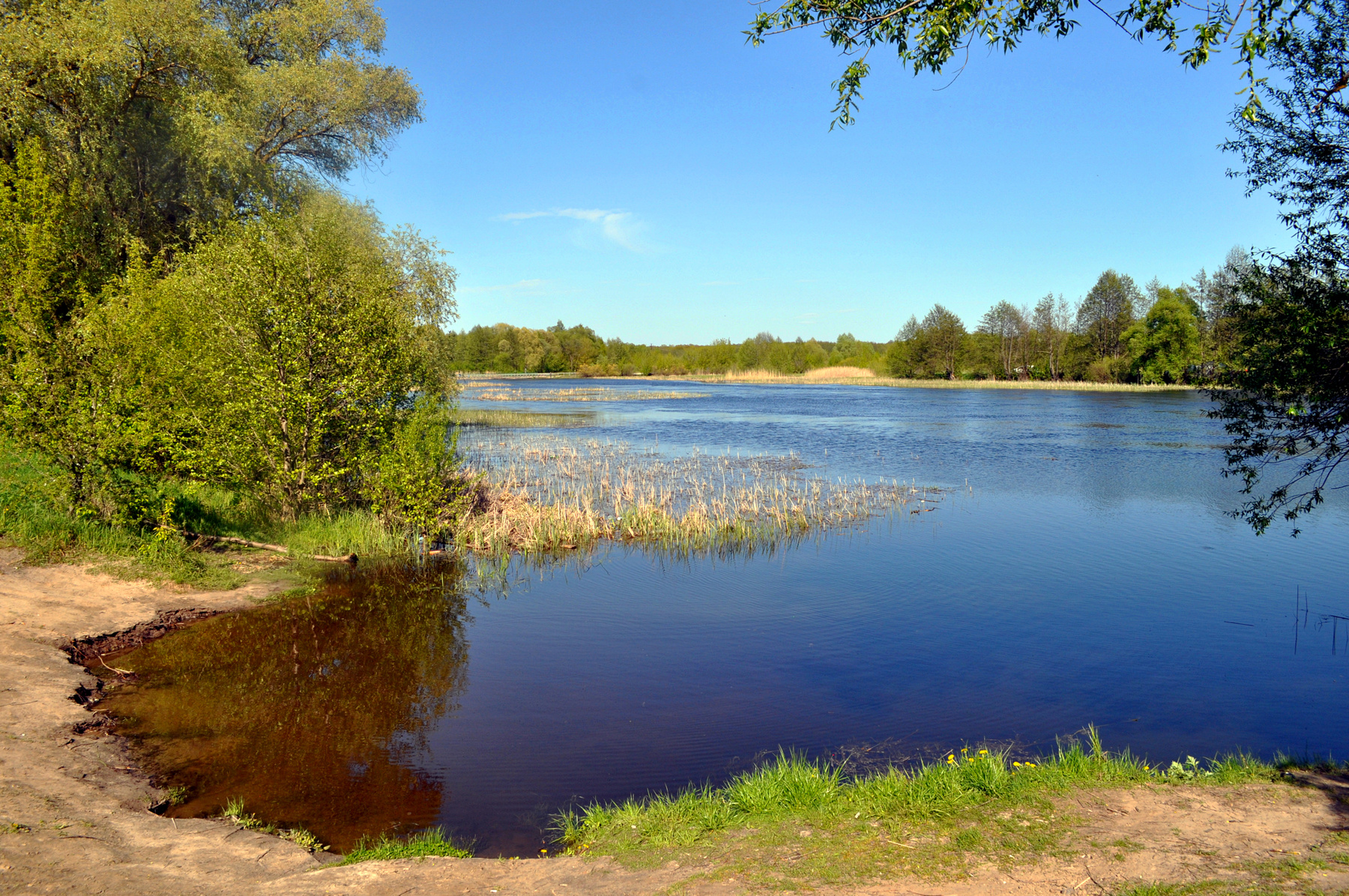 Река Воронеж Река Воронеж весна Рамонь