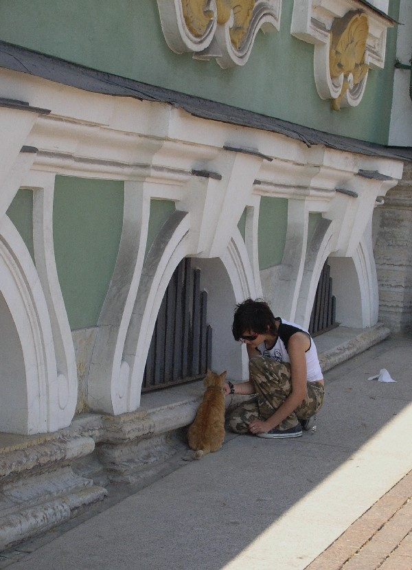 кошки Эрмитажа кошка,девушка
