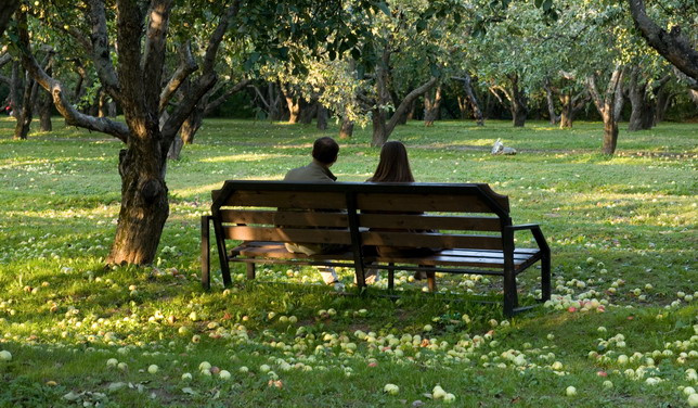 Осень в Коломенском No.1 
