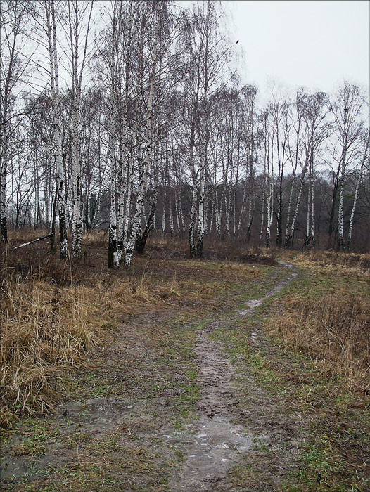 Московская зима 