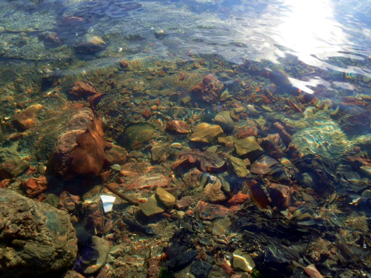 Подводный Мир подводный вода мир