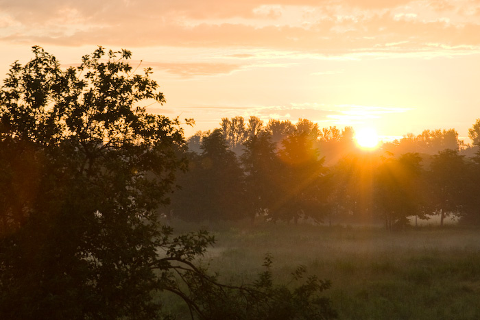 morning star рассвет