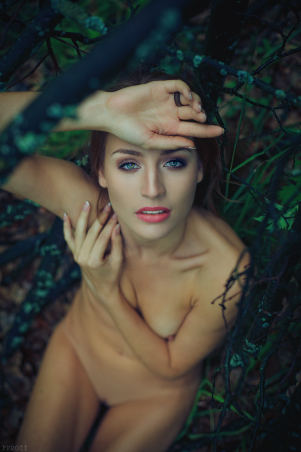 *** 