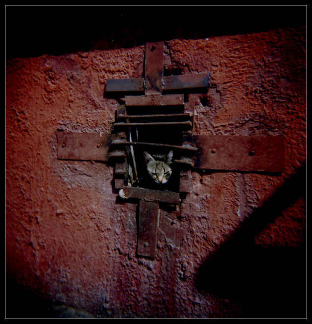 В зоне отчуждения Holga, Хольга