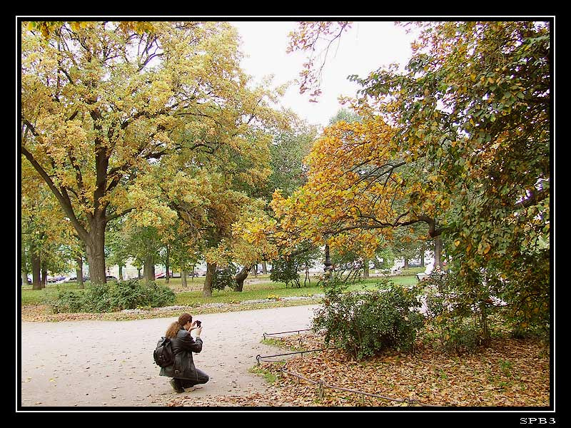 Осень Золотая Осень, Санкт-Петербург, СПб, Питер, Петербург, деревья, листья, фотограф, площадь Искусств, природа, газоны, ветви, ветки, опадают,
