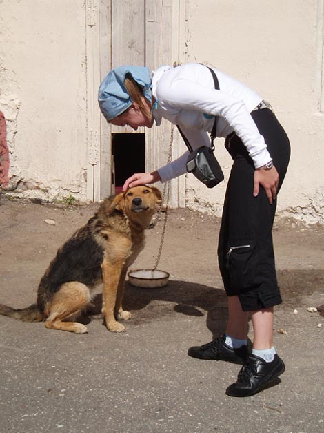 Осторожно! Злая собака! собака бывает кусачей только от жизни собачей