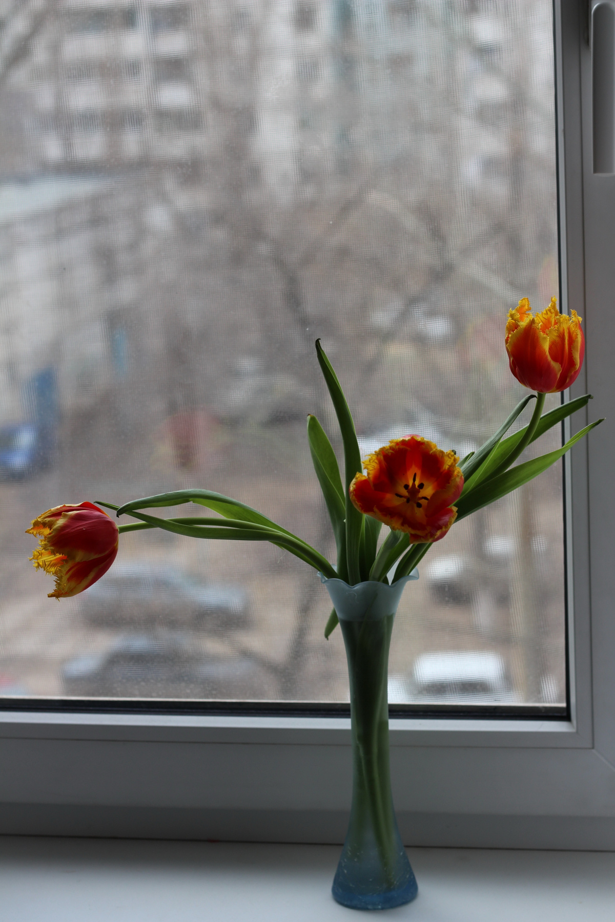 хрупкая весна 