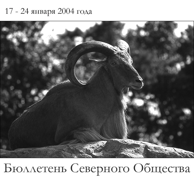 Бюллетень Северного Общества за 17 - 24 января 2004 года Ответственность За Козла