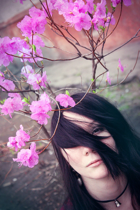 spring весна