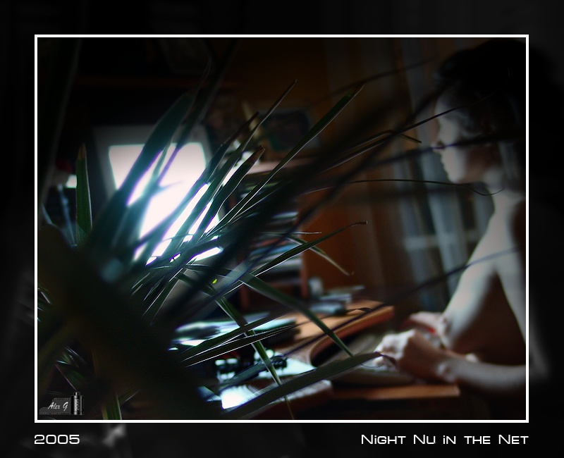 Night Nu in the Net Девушка Ночь Girl Night