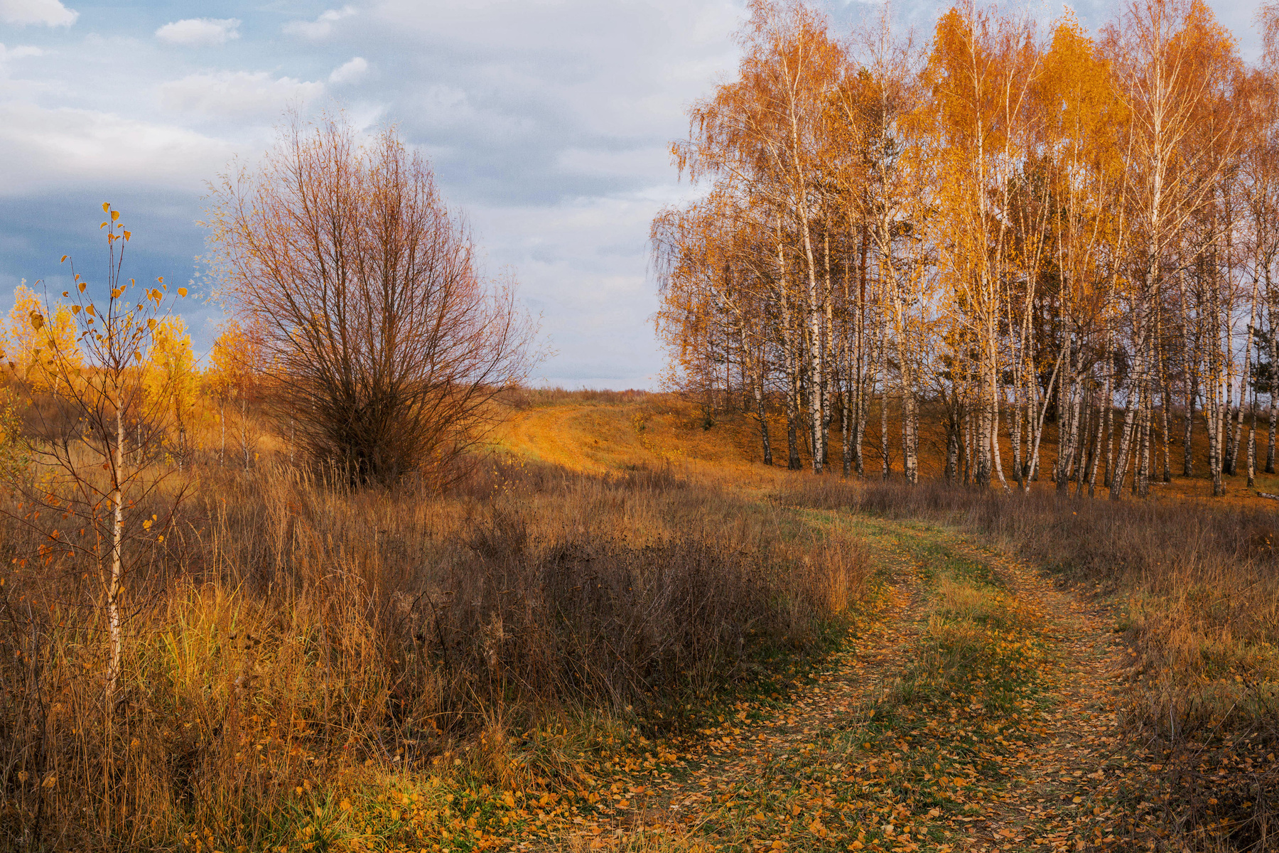 *** природа пейзаж осень дорога татарстан ильинское