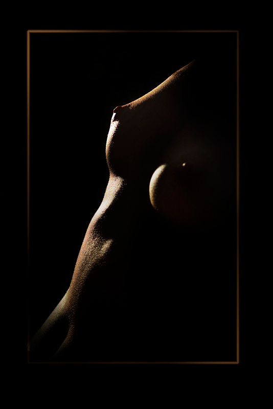 + 