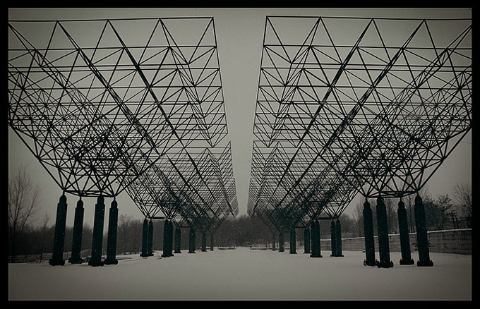 Urban trees 
