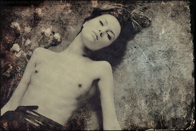 elle - second dream of dollsmaker V.2 