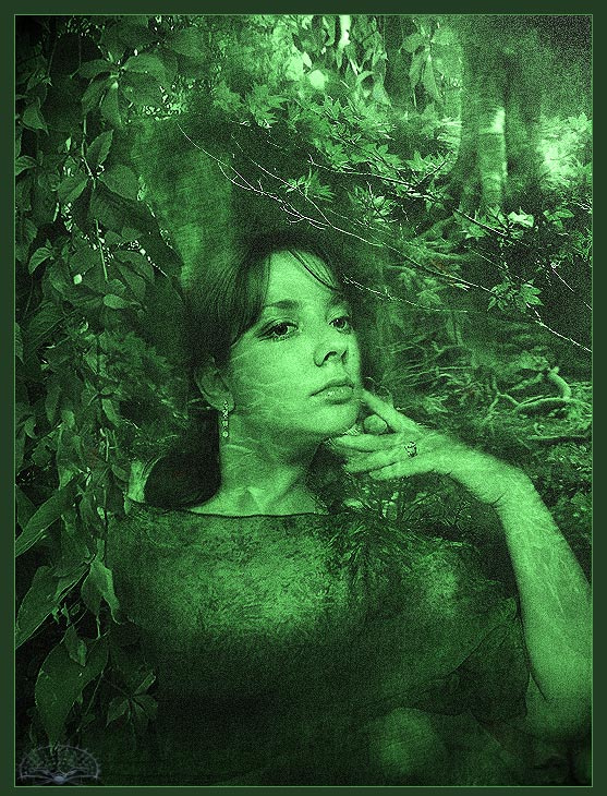Green Dreams 