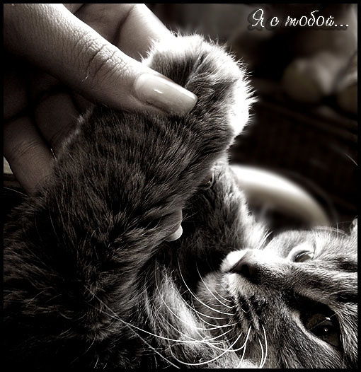i\'m with you 