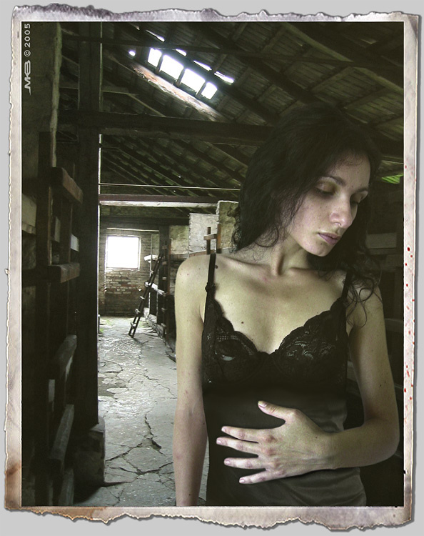 In The Bedsroom... Aushwitz, holocaust, ошвитз, Холокост
