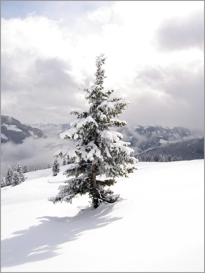 Зимний наряд Зимний наряд Кирхберг  небо горы SNOW