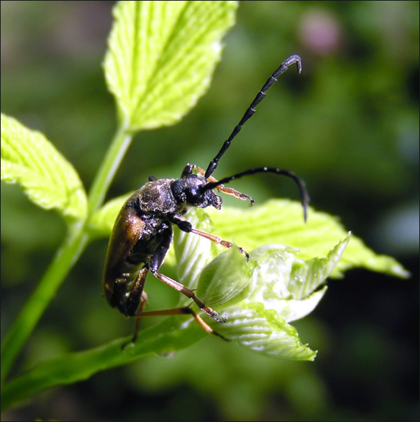 очки бы... тёмные такие... %) ультрафиолет вреден для глаз